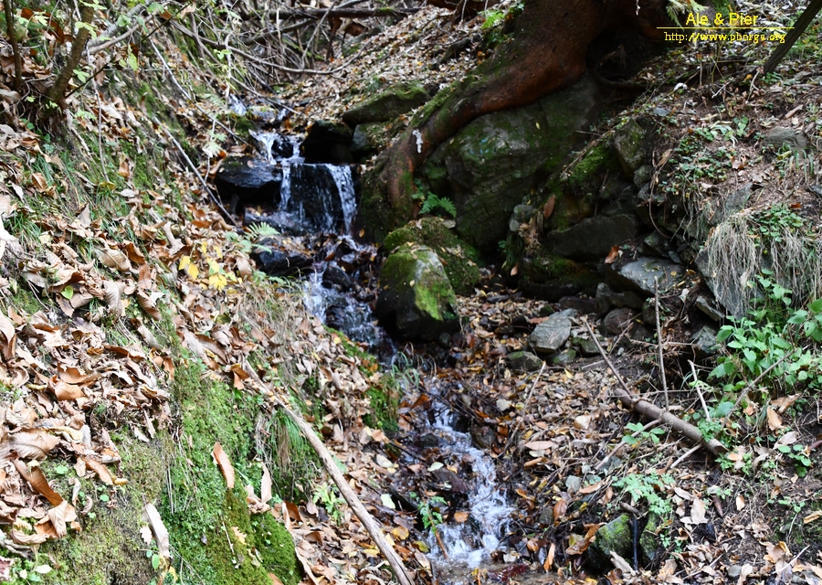 Val Maor