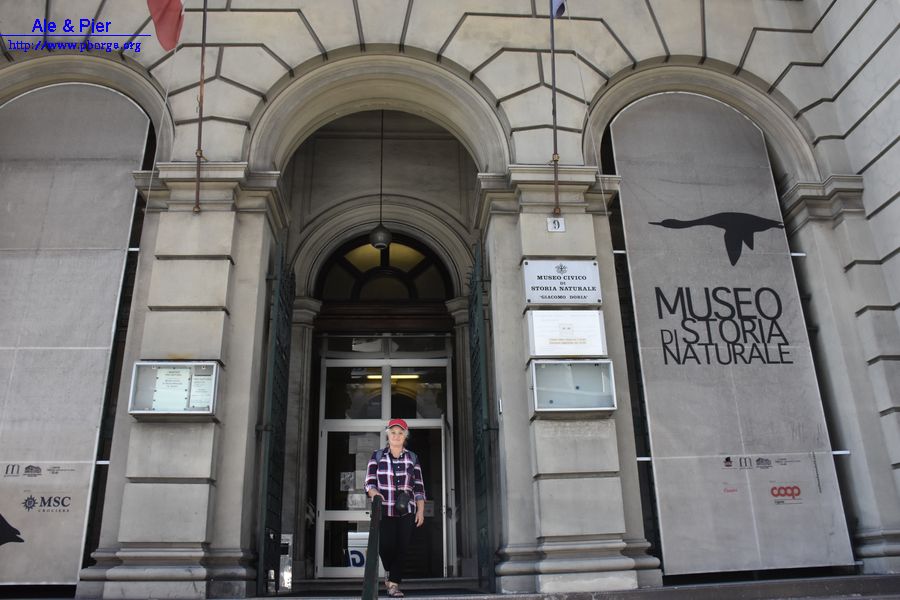 Museo Doria